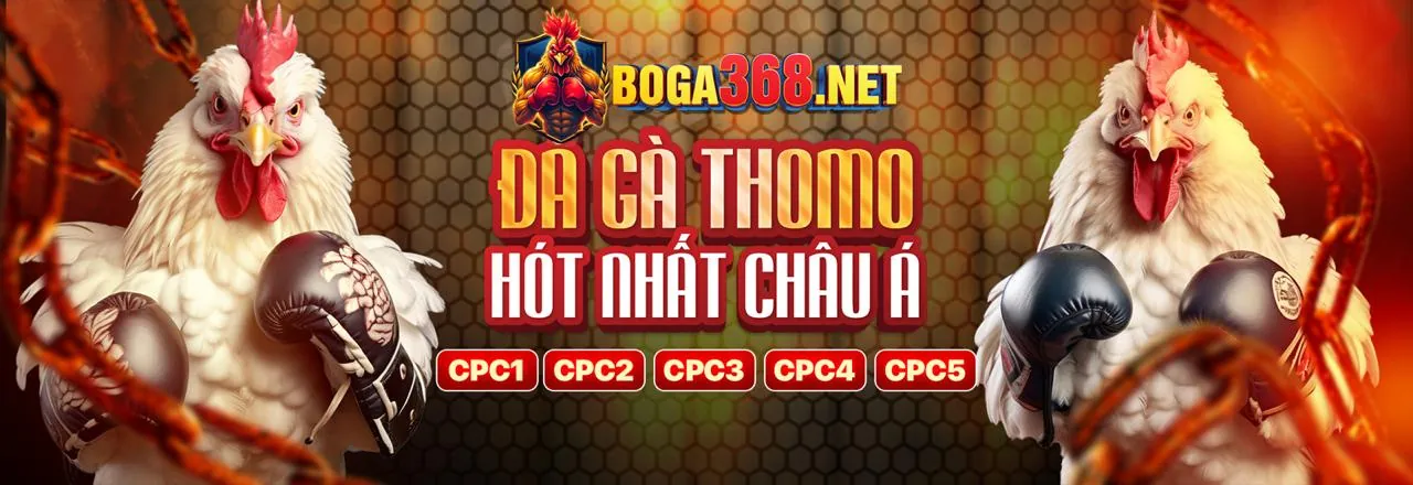Hoàn trả hàng tuần tại 3bet khuyến mãi